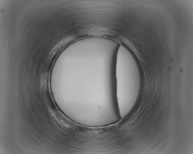 X0000087550586200704270951