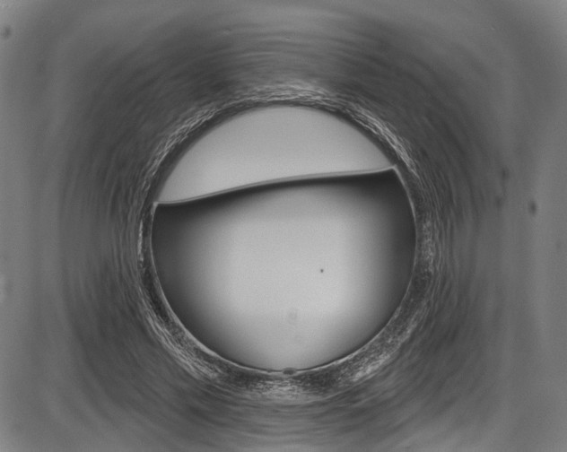X0000087550589200704270951