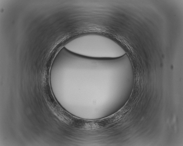 X0000087550591200704270951