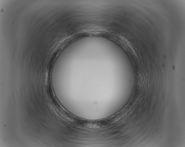 X0000087550596200704270951