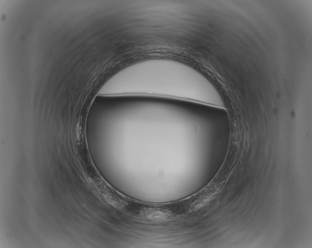 X0000087550597200704270951