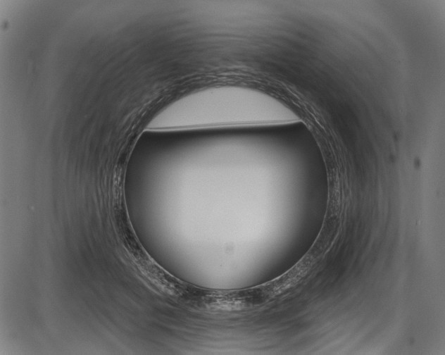 X0000087550601200704270950