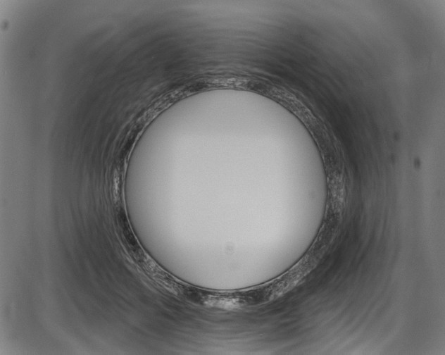 X0000087550602200704270950