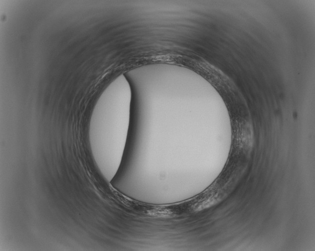 X0000087550603200704270950