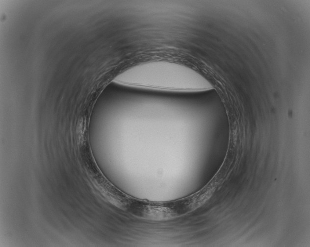 X0000087550605200704270950