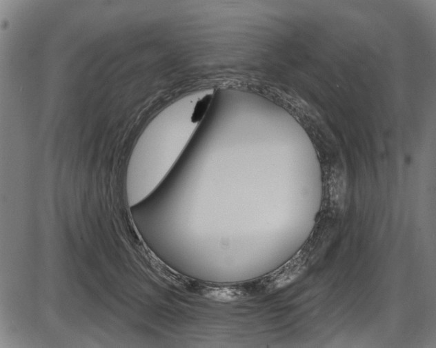 X0000087550611200704270950