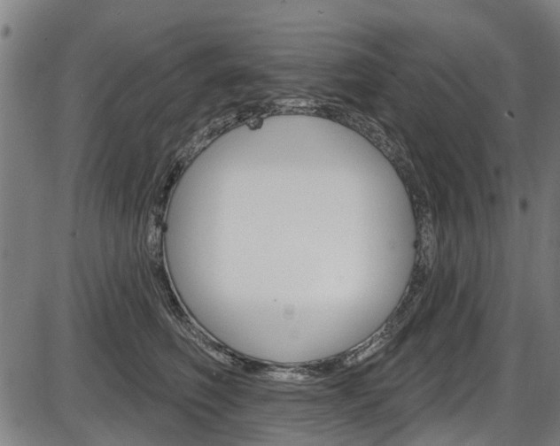 X0000087550614200704270950