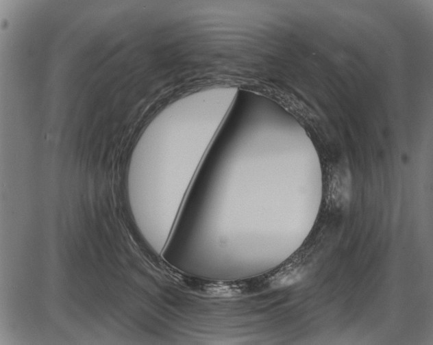 X0000087550616200704270950