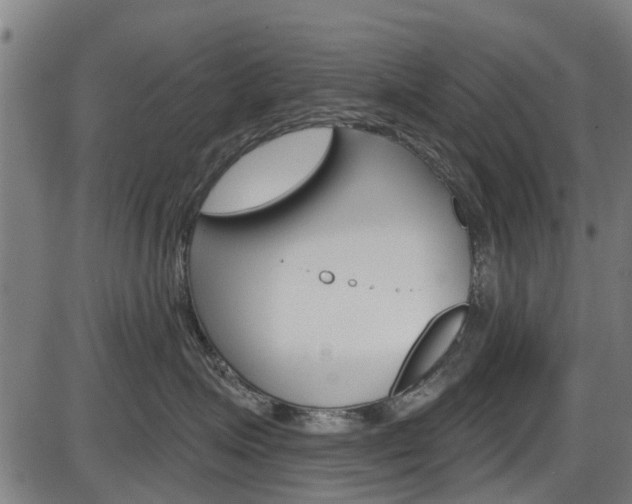 X0000087550623200704270950