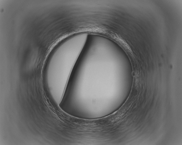 X0000087550628200704270949