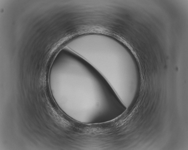 X0000087550629200704270949
