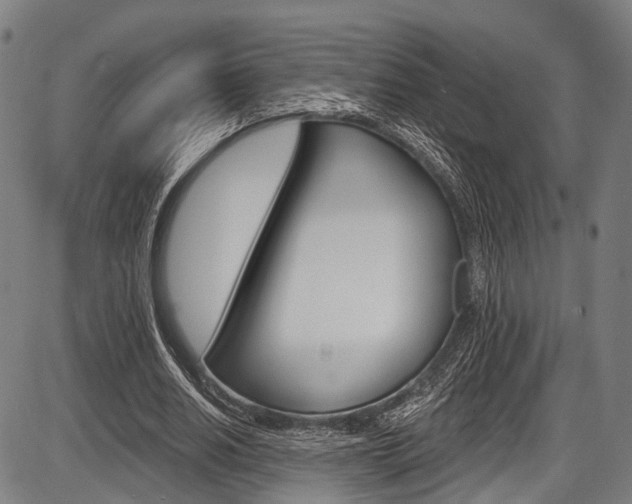 X0000087550630200704270949