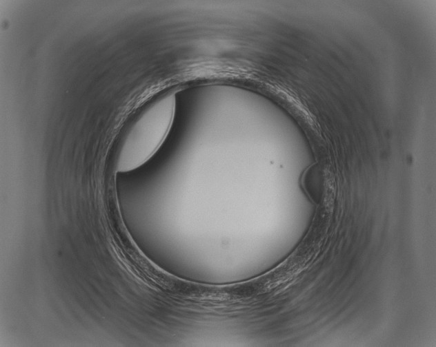 X0000087550631200704270949