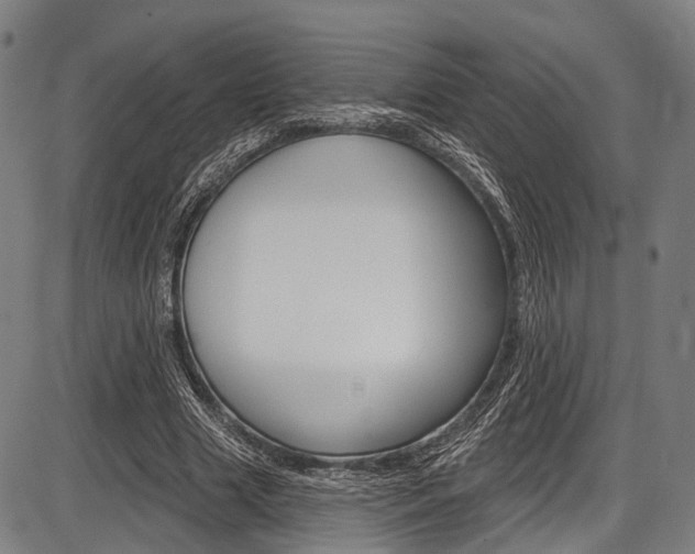 X0000087550633200704270949