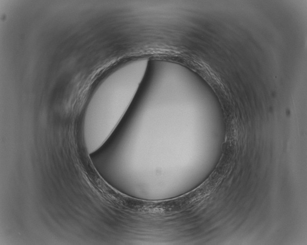 X0000087550640200704270950
