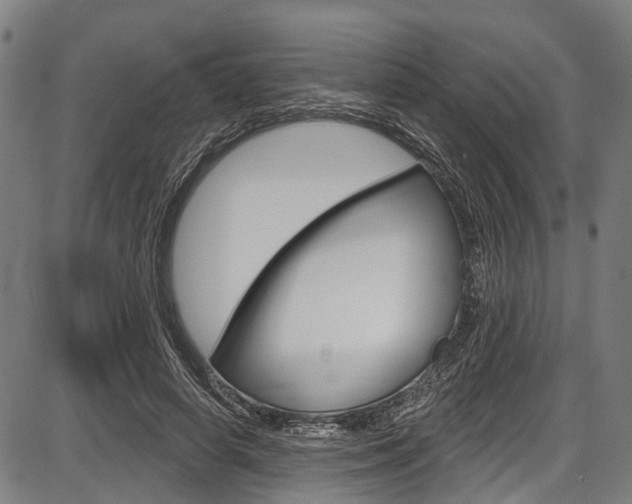 X0000087550642200704270950