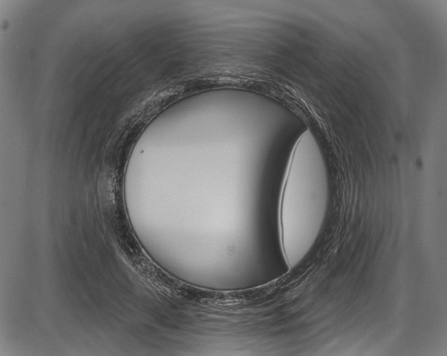 X0000087550643200704270950