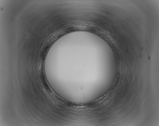 X0000087550645200704270950