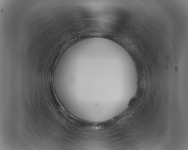X0000087550647200704270950
