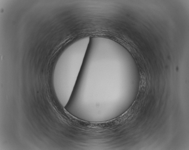 X0000087550648200704270950