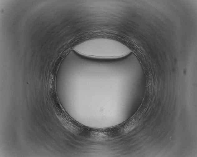 X0000087550649200704270950