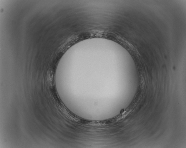 X0000087550661200704270950