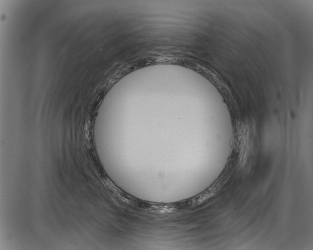 X0000087550667200704270950