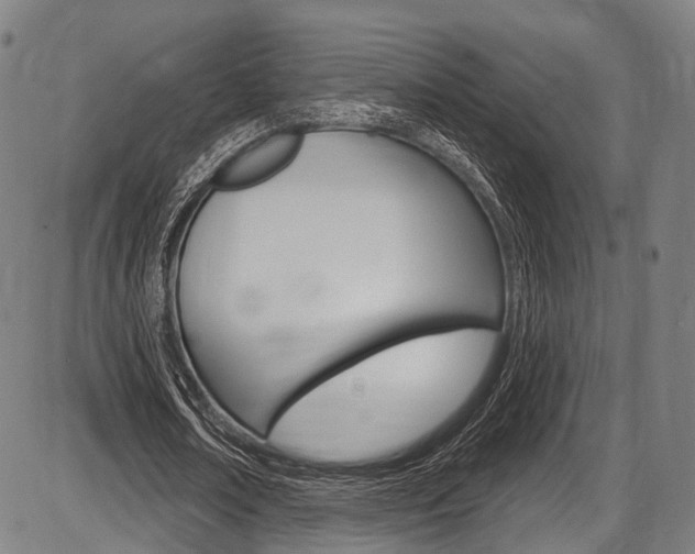 X0000087550674200704270949
