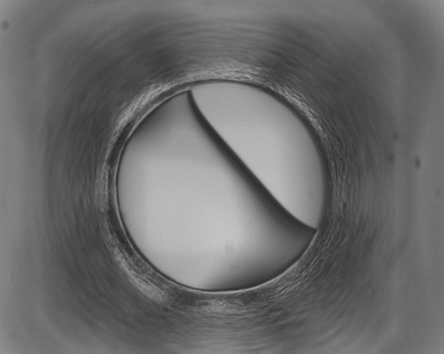 X0000087550678200704270949
