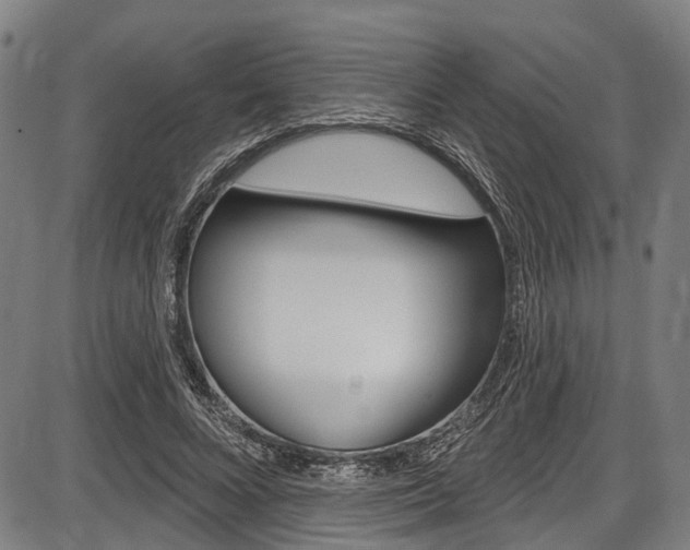 X0000087550688200704270949