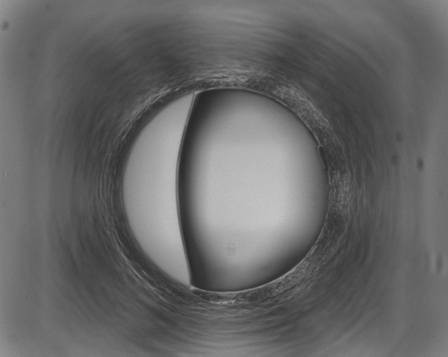 X0000087550692200704270949