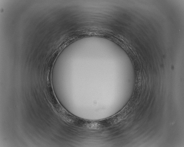 X0000087550695200704270949