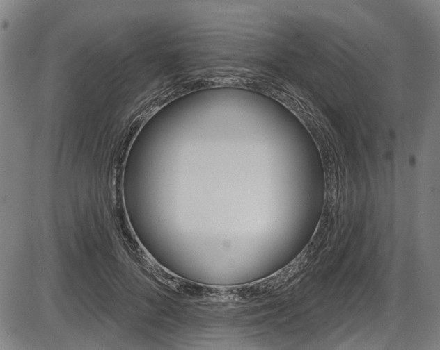 X0000087550696200704270949