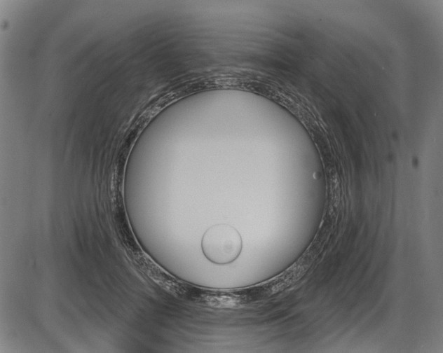 X0000087550698200704270949