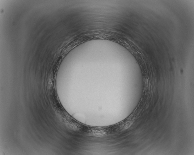 X0000087550702200704270949