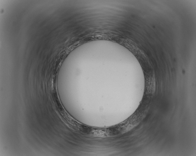 X0000087550703200704270949