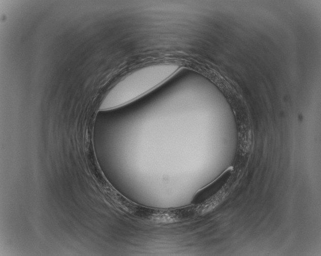 X0000087550704200704270949