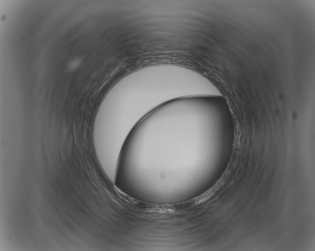 X0000087550712200704270949