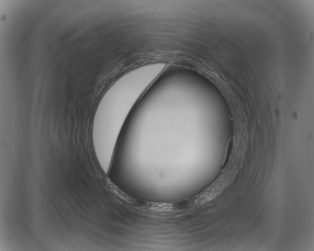 X0000087550720200704270949