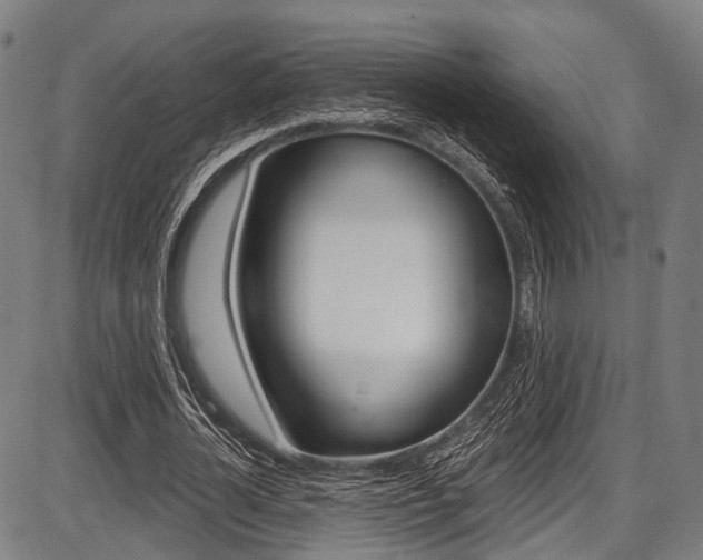 X0000087550724200704270948