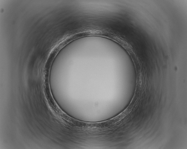 X0000087550730200704270948