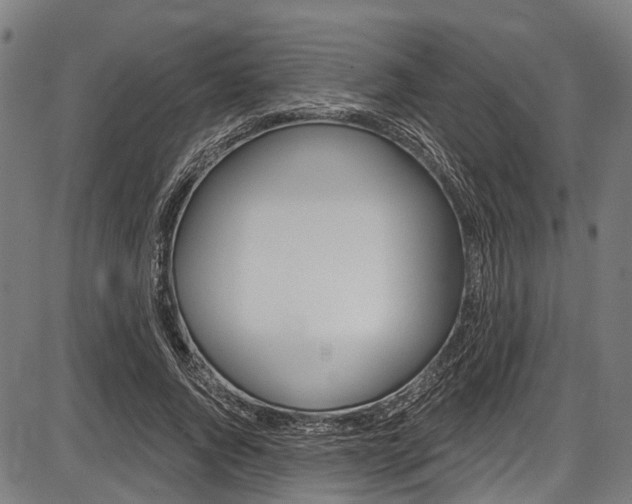 X0000087550736200704270948