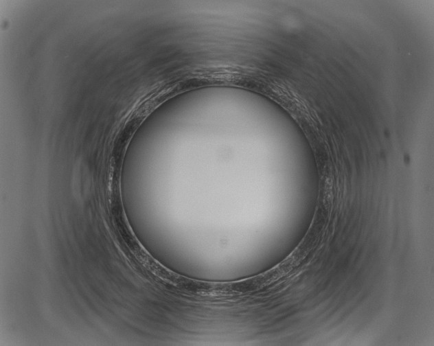 X0000087550739200704270948