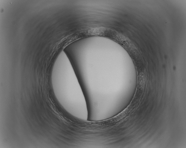 X0000087550741200704270948