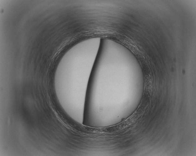 X0000087550742200704270948