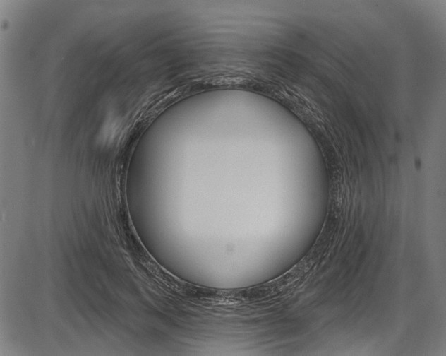 X0000087550743200704270948