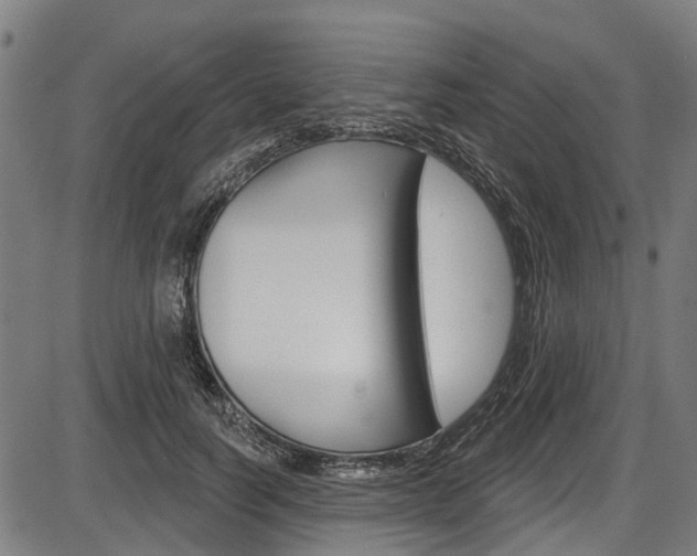 X0000087550746200704270948