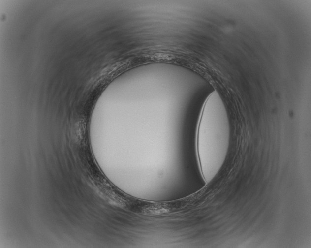 X0000087550747200704270948