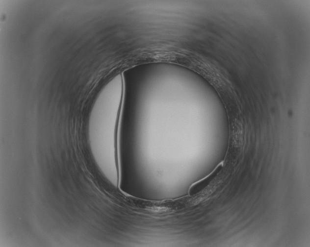X0000087550748200704270948