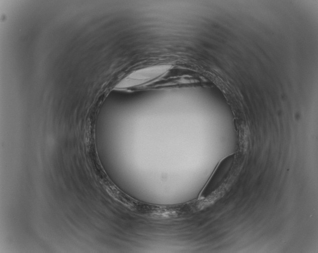 X0000087550760200704270948